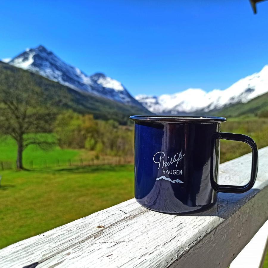 Phillipshaugen Lodge Oksendalsora Экстерьер фото
